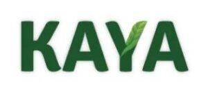 Imagem do WhatsApp de 2025-06-18 à(s) 00.14.43_60727f4d