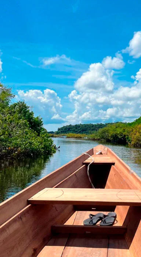 Mapeamento de vulnerabilidades